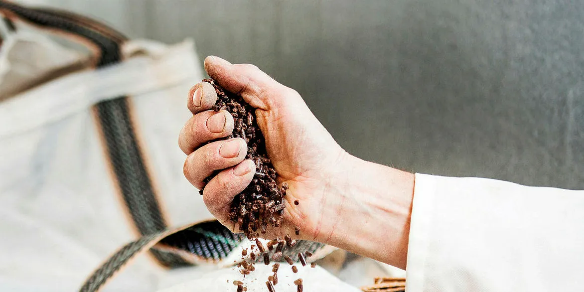 Calysta said its alternative feed will hit market in 2019 | Intrafish