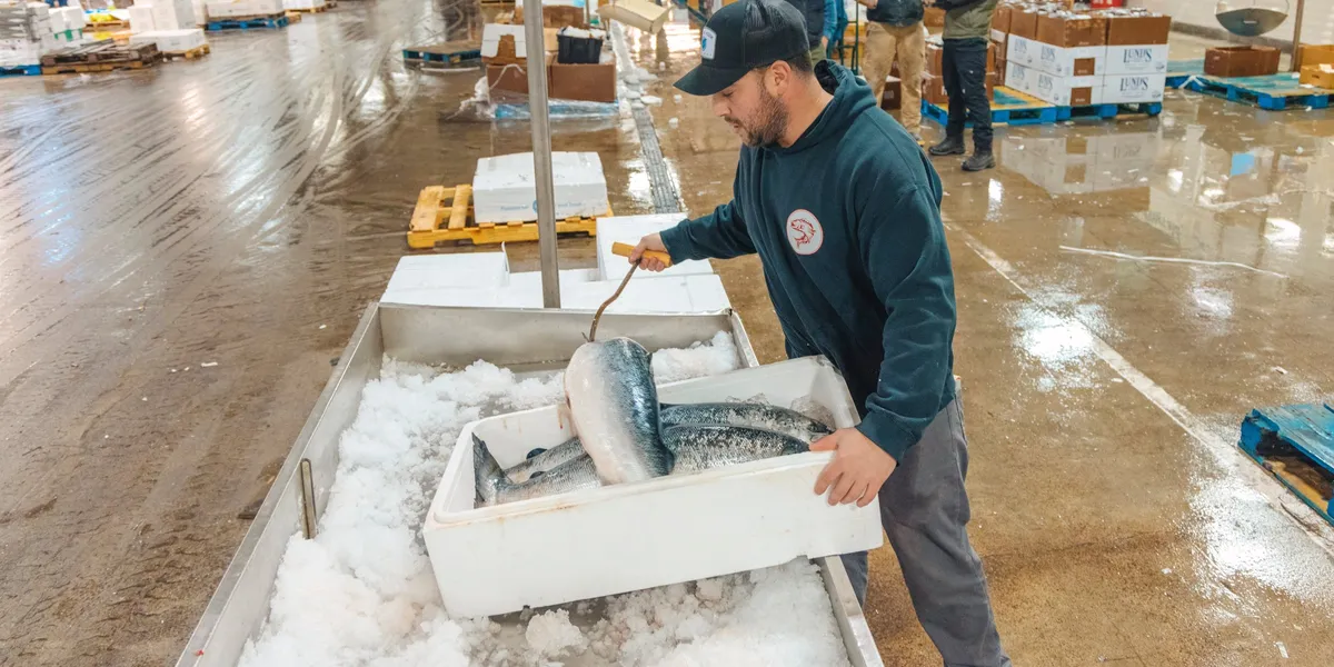 Trumps tollkrig rammer fisk og shipping i USA: – Det er bedre enn å bli svindlet