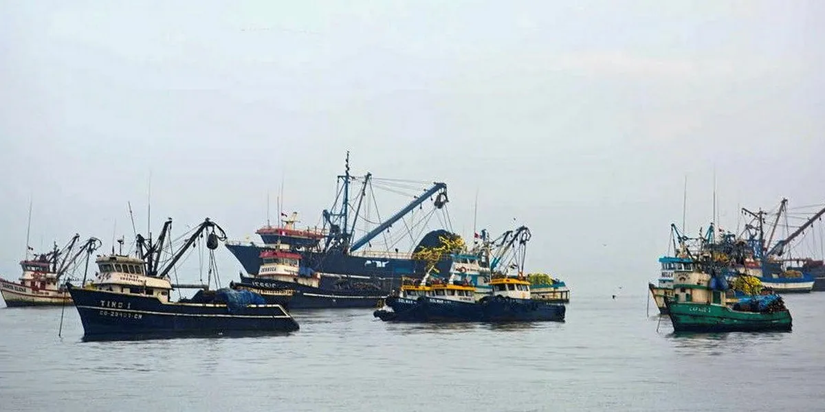 Peru fishing companies up security against terrorism financing, money ...