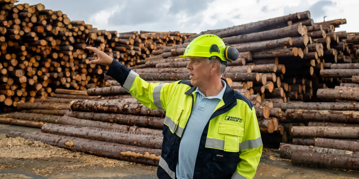 Rekordhøye tømmerpriser rammer industrien: – Det ser mørkt ut