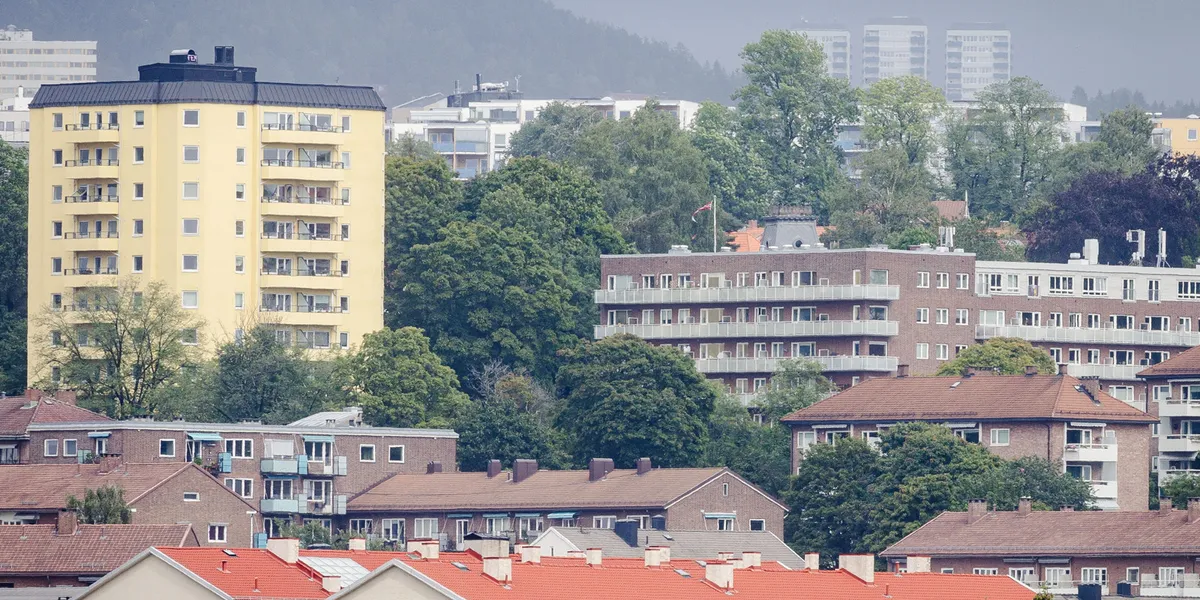 Melder om uvanlig høy aktivitet i boligmarkedet: – Ekstremhøst