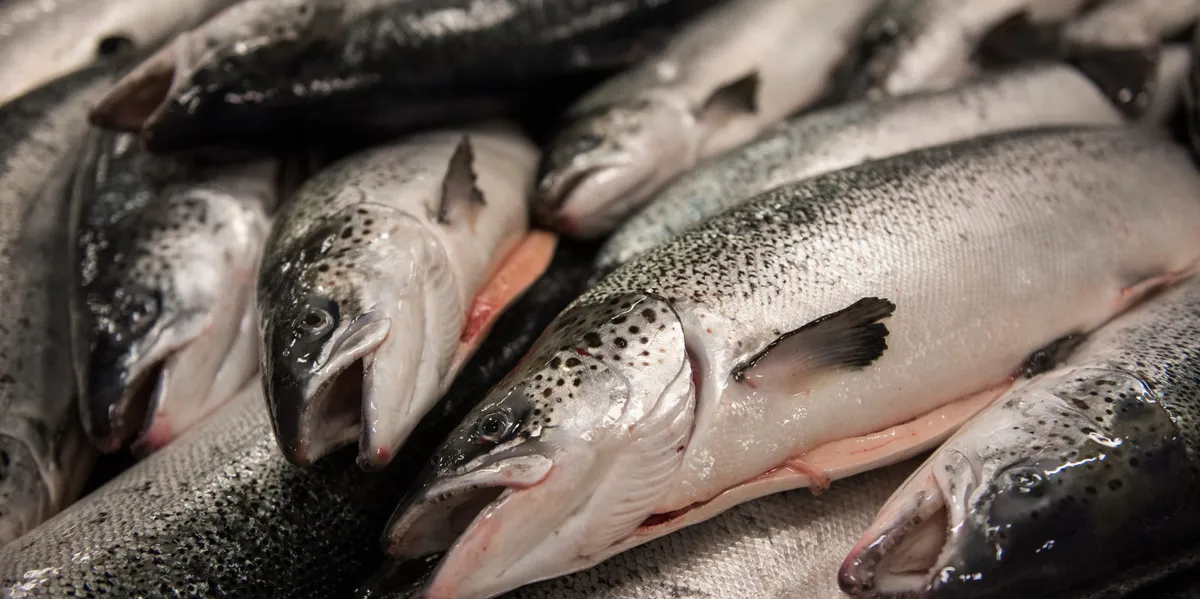 Litt svakere enn ventet fra Lerøy i andre kvartal