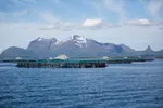 Illustrasjonsfoto fra en annen Cermaq-lokalitet
