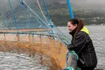 . Leder i Møre og Romsdal Høyre Monica Molvær.