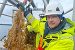 Harald Sveier i Lerøy Seafood mener potensialet for produksjon av tare er skyhøyt, men at Kommune-Norge ikke forstår hvilke muligheter slik produksjon utgjør. – Sett av fem prosent av all areal til tare, mener han.