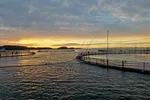 Norcods lokalitet Jamnungen på Frøya.