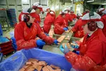 Manglende grunnrenteskatt bidrar til noen laksemilliardærer og laksemillionærer. Frøya kan nå kalles milliardær øya, bygget rund SalMar.