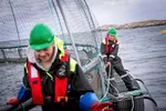 Mange unge søker seg til blå utdanning i Trøndelag, hvor havbruk ethar gitt mange arbeidsplasser siden starten på lakseeventyret for noe over 50 år siden.