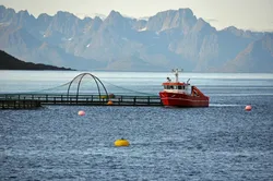 Cermaq-anlegg i Steigen i Nordland.