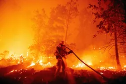 A firefighter douses flames as they push towards homes during the Creek fire in the Cascadel Woods area of Madera County, California
