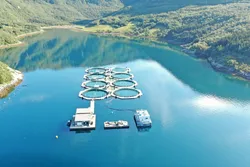 Akvafuture driver med oppdrett i lukkede merder i Brønnøysund. De er blant selskapene som levert høringsforslag.