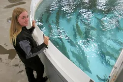 RIKTIG VALG: Vilde Jakobsen (17) er lærling hos Aqua Gen avdeling Stiegen. Hun er glad for at hun valgte Steigenmodellen som lærlingeløp. Det gir hun mulighetet til å ta den utdanningenhøn ønsker og fremdeles bo hjemme.