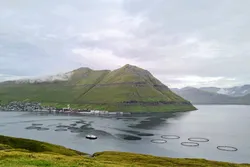 Fôrfabrikken Havsbrun ligger i Fuglarfjord på Færøyene. I forgrunnen er et av Bakkafrosts oppdrettsanlegg.