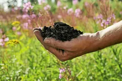 Biochar produced by carbon-removal supplier Carbofex.