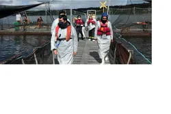 Kontrollører besøkte lokaliteten Caucacura på Chiloé på mandag.