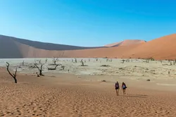 Namibia has huge space and a small population.