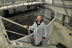 Nicolaj Weiergang er administrerende direktør i Arctic Seafood Group.