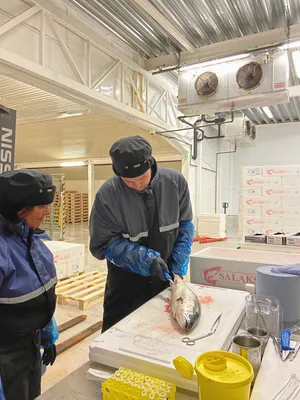 Sonal Patel og Karl Erik Bekkelig under prøvetaking på slakteriet til Salaks.